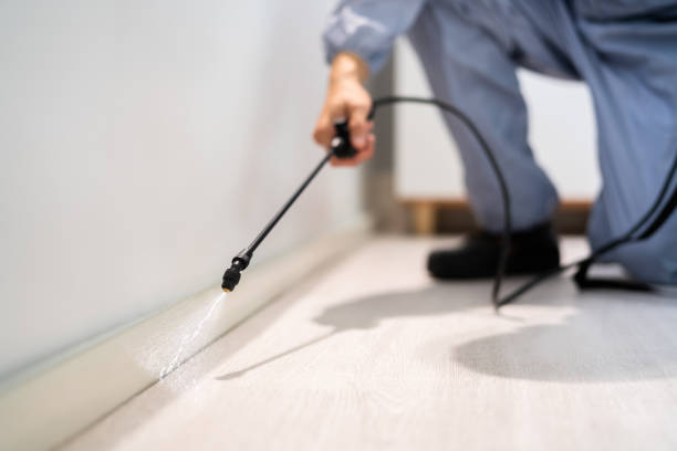 Licensed Mosquito Control service in High Bridge, WA - Show Me Pest Control