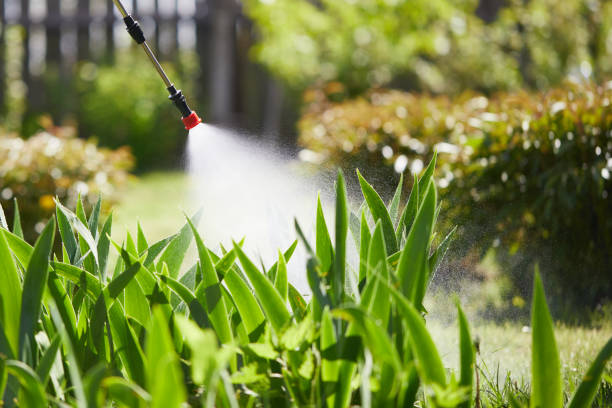 24/7 Emergency Mosquito Control experts in High Bridge, WA