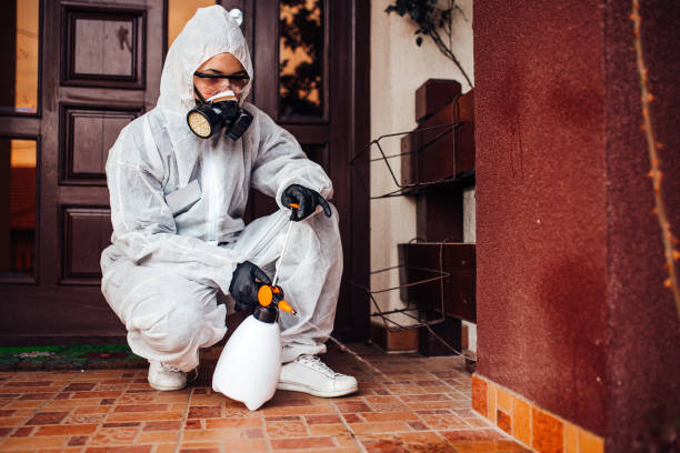 Reliable Mosquito Control contractor in High Bridge, WA by Show Me Pest Control