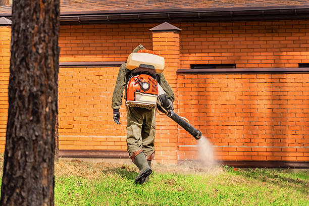 Top rated local Mosquito Control specialists in High Bridge, WA